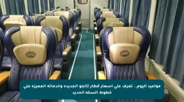 مواعيد اليوم.. تعرف على أسعار قطار تالجو الجديدة وخدماته المميزة على خطوط السكة الحديد